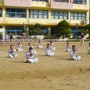 비호체육관 이미지