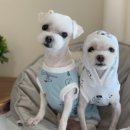 러블리2펜션 이미지