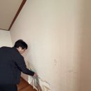 황송로 | 금광래미안아파트 31평 확장형 도배장판 시공 기록 (마루철거부터 장판까지)