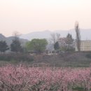 화산중학교 이미지