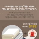 장판24시