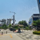 청아초등학교 이미지