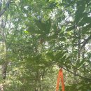 주공4단지약수터