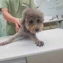 화산네거리 이미지