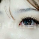 라미속눈썹