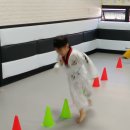 리라태권도 이미지