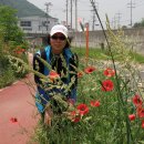 정이농장 이미지