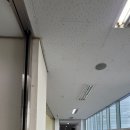 선화골 소담가
