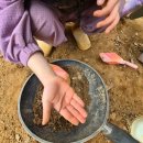 아라로 | [서구 숲체험]아이와 당일치기 아라숲체험 생생 후기!!