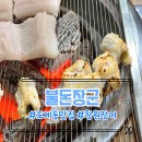불돈장군