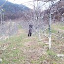 박달재농원 이미지