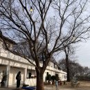 오산농장 | 평택 오산 어린이 농장 체험 아이와 함께 다녀왔어요