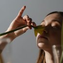 아로마테라피에스테틱 이미지