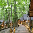 7635 | 비에이 버스 투어 인디고트래블 겨울 삿포로 당일치기 일정 추천 이유 및 후기