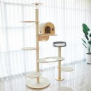 오로라 캣 이미지