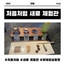 처음처럼 | [아기와 강릉여행] 처음처럼 새로 브랜드체험관 방문 후기