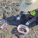 사계어촌체험휴양마을 이미지