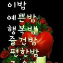 야호이 이미지