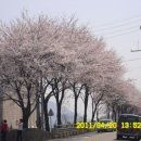 여주-0100 이미지