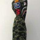 옐로우샤크 이미지