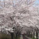 맥도생태공원 이미지