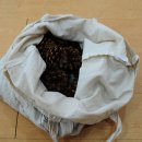 작은별어린이집 이미지