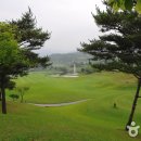 엘리시안 강촌 컨트리클럽 이미지