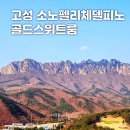 야놀자오락실 | 고성 소노펠리체델피노 골드스위트 취사 설악마운틴뷰 가격 예약 후기