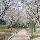 지에스25 월배삼정점 이미지