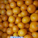 심원농장 이미지