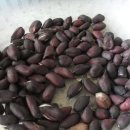 열무농장 이미지