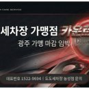 도도세차장치평점