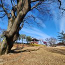 문충공 퇴헌 정천익 이미지