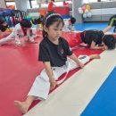 K용인대 태권도장 이미지