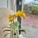 평광초등학교 이미지