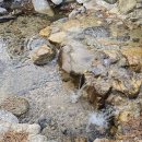 글램핑 앤 카라반 이미지