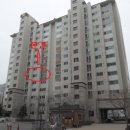 늘을3로 네이버블로그