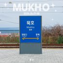 자매수예점 | 14년지기 친구와 처음으로 단둘이 떠난 묵호여행-2일차