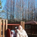 선민목장 이미지