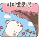 산들바다김밥 이미지