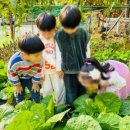 숲속향기생태어린이집 이미지