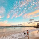 아일랜드 107 민박 | 제주한달살기 EP.1-제주공항,조반물,숙소,신양섭지해수욕장