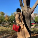 데일리하임 이미지