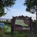 삼락생태공원 오토캠핑장 | [15분도시 부산] 삼락생태공원 삼락오토캠핑장족구장 방문 후기