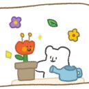 파리바게뜨 평택푸르지오점