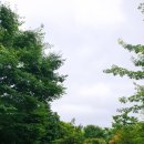 대신Self주유소 이미지