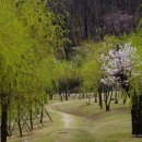 산보갈땐김밥 이미지