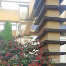 식물원 강아지 이미지