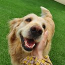 청송펜션 이미지