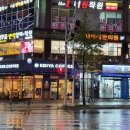 리노203(RENO203)
